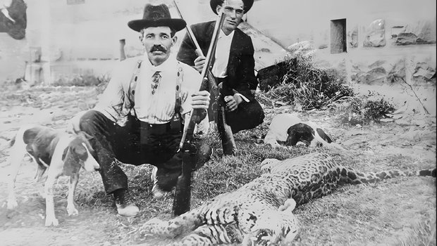 A vintage black & white photo of two men standing next to a jaguar killed in Texas