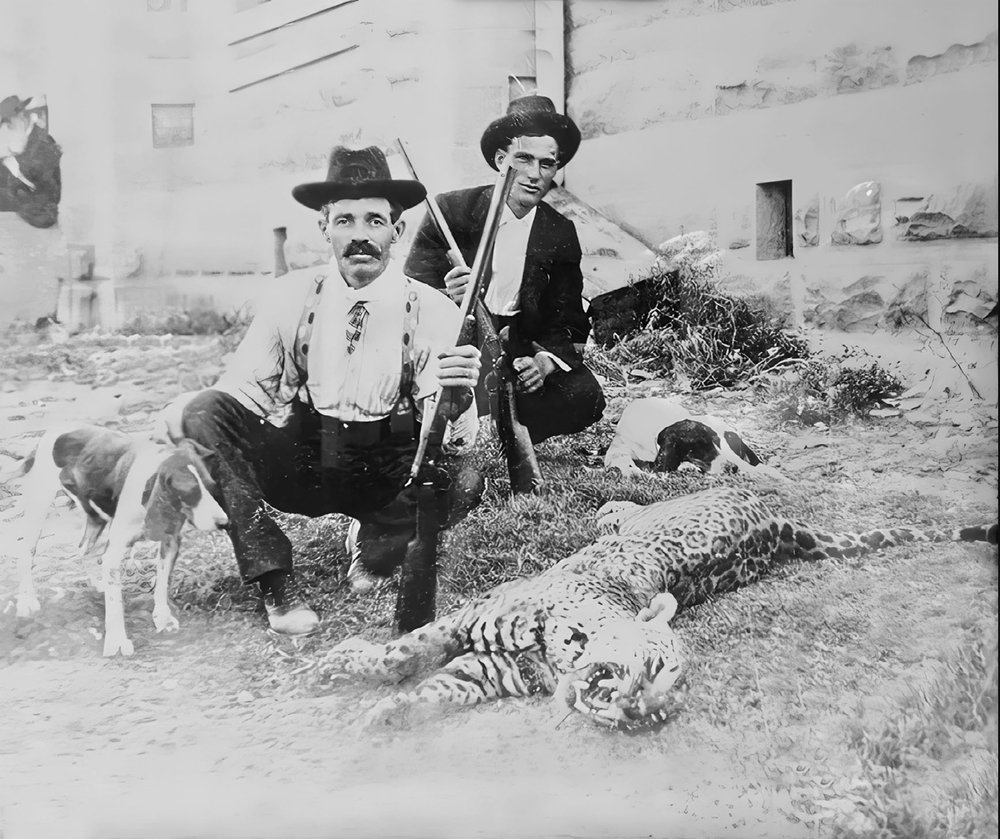 A vintage black & white photo of two men standing next to a jaguar killed in Texas