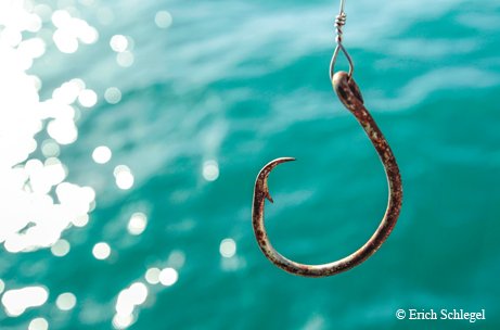Fishing hook with blue water