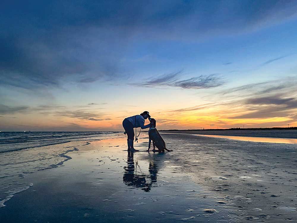On the beach, a silhouetted owner bends over to kiss their dog as the sun sets in the background