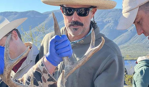 Kevin Legrow In a tan cowboy hat helping other TPWD staff with an orange blindfold and a tag that reads 19