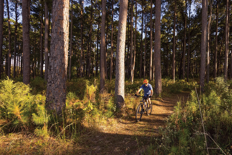 man biking down a wooded trail in a Texas State Park