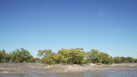 mckinney falls 2013 halloween flood with the water level at the top of the trees.
