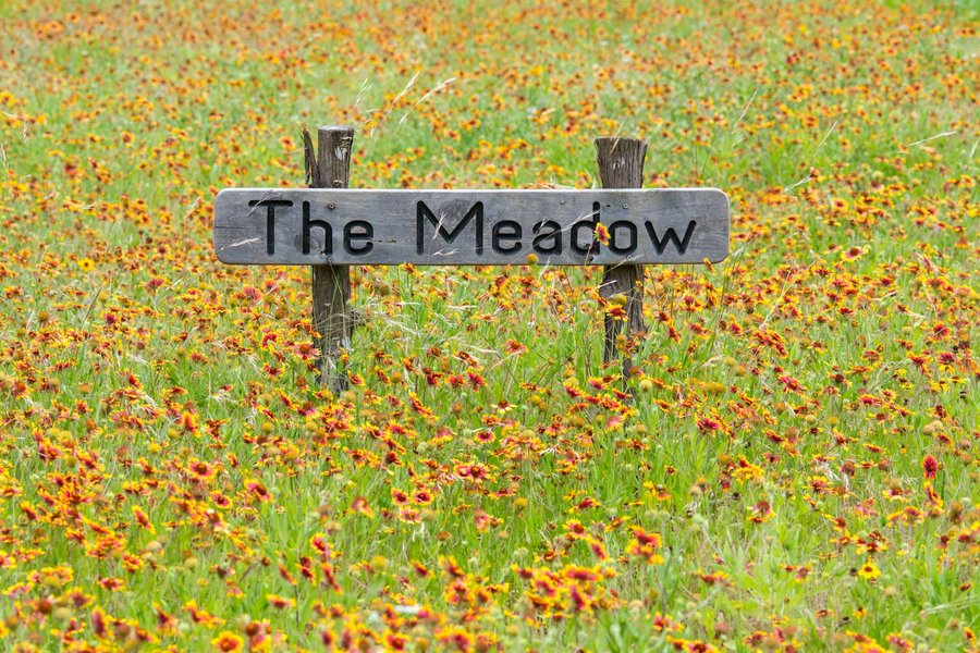 A meadow of red and yellow flowers with a wooden sign that reads "the meadow."