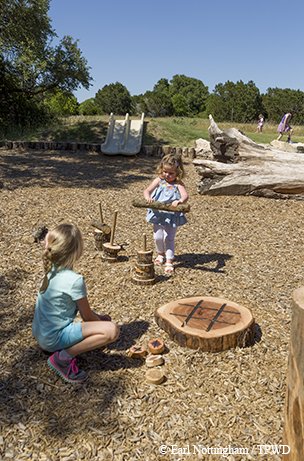 mother neff anarchy area with children playing with natural items