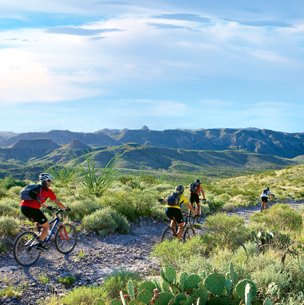 mountain bikers