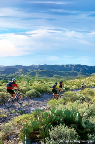 mountain bikers