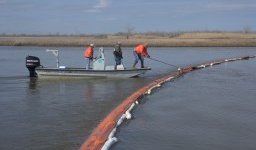 oil spill clean up