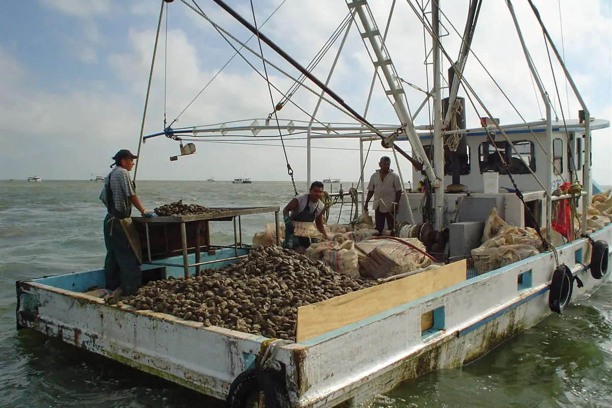 oyster boat during harvesting season in Texas