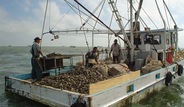 oyster boat during harvesting season in Texas
