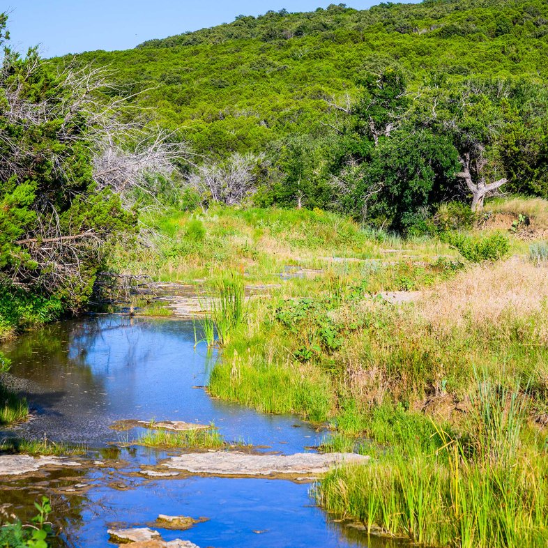 palo pinto's Russell creek with green grass at the banks
