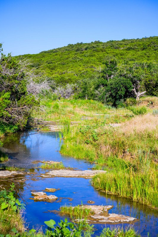 palo pinto's Russell creek with green grass at the banks