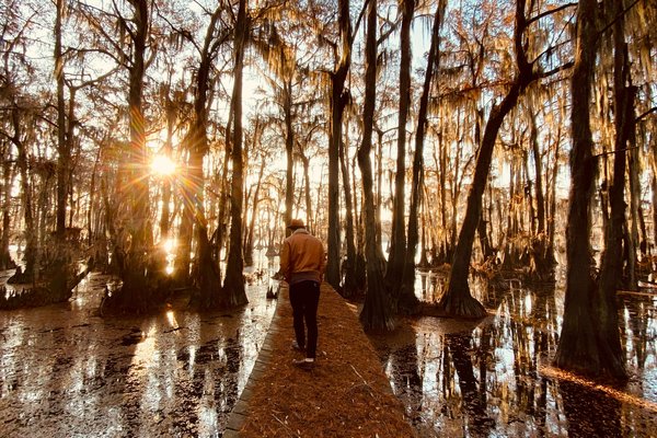 Person walking on a bridge in the swampy land of the Sabine River