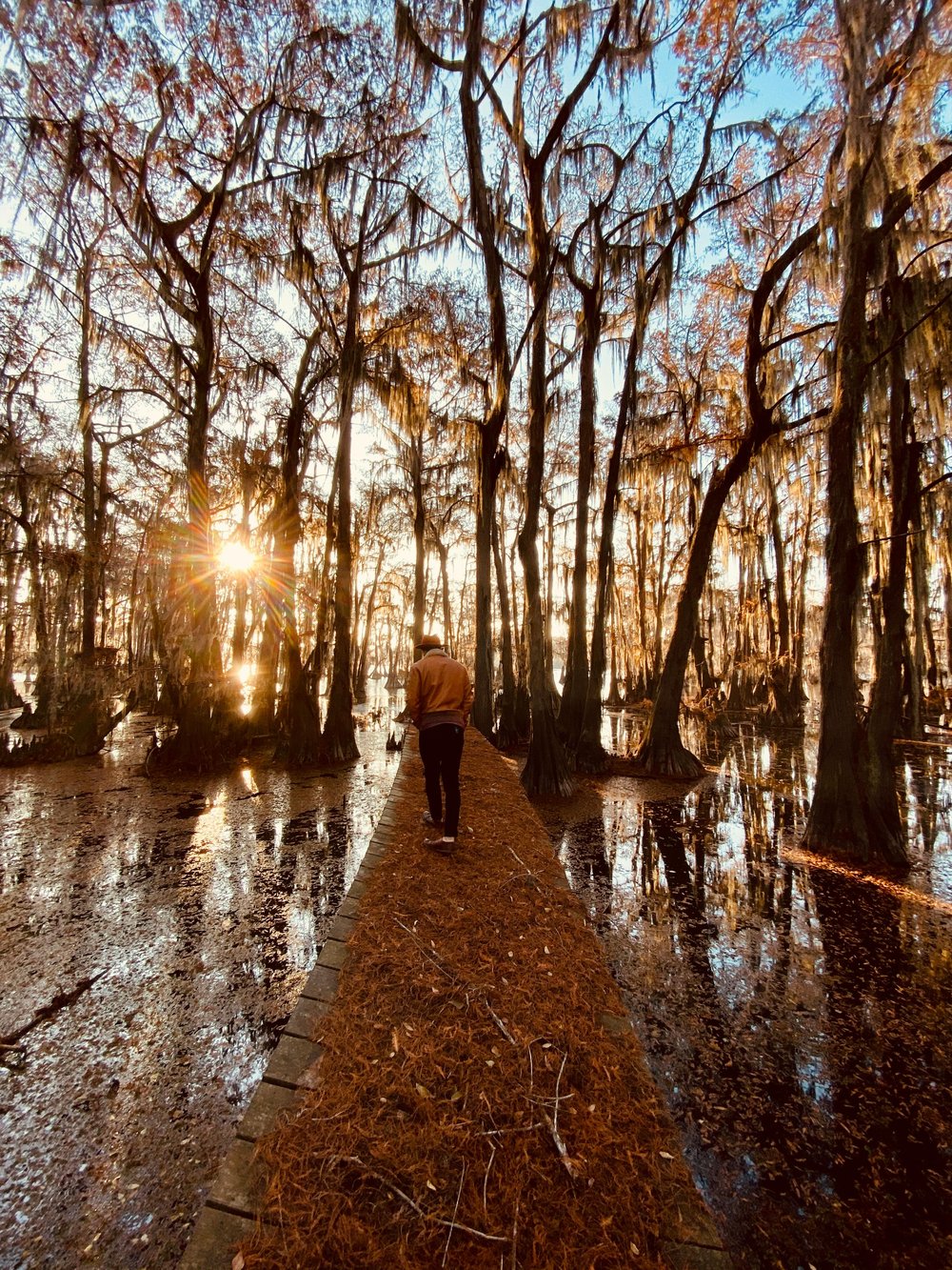 Person walking on a bridge in the swampy land of the Sabine River