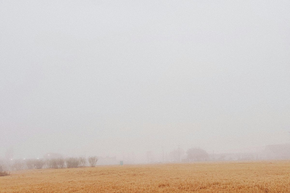 Misty field of brown grass in Laredo, Texas.
