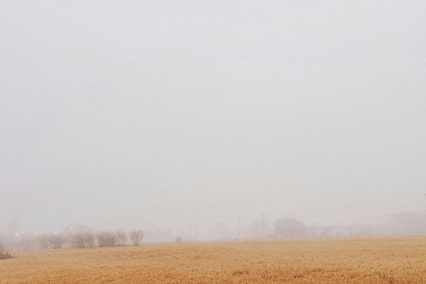 Misty field of brown grass in Laredo, Texas.