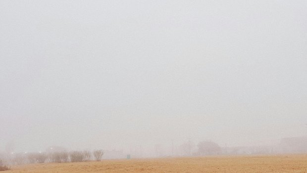 Misty field of brown grass in Laredo, Texas.