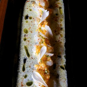 possion cru a lion fish sandwich