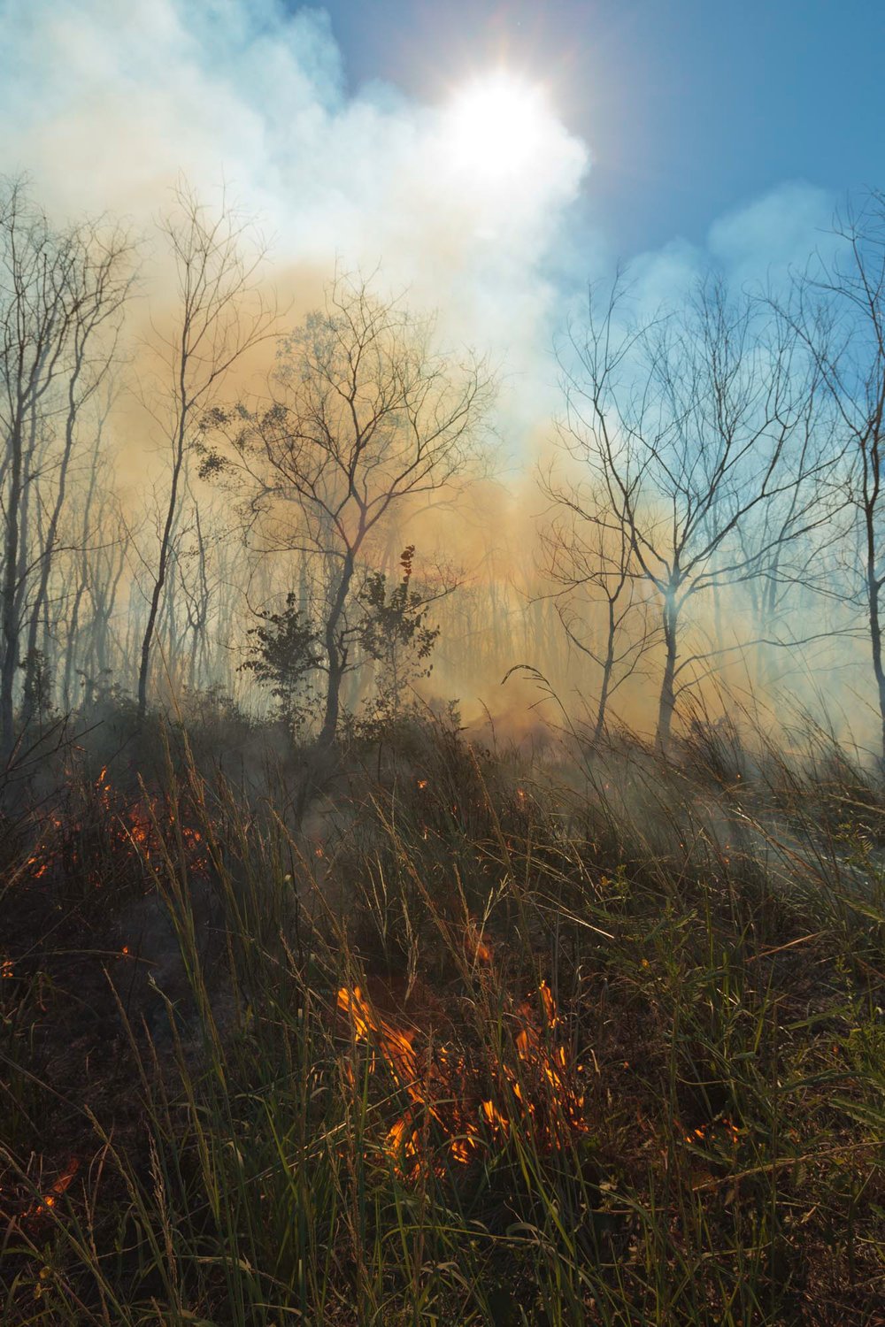 Prescribed Burn