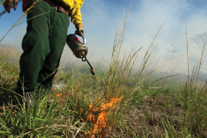 prescribed burn to stop future wildfires