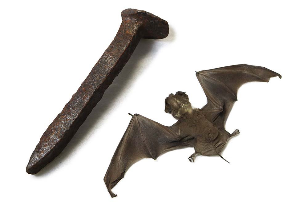 A railroad spike and bat specimen