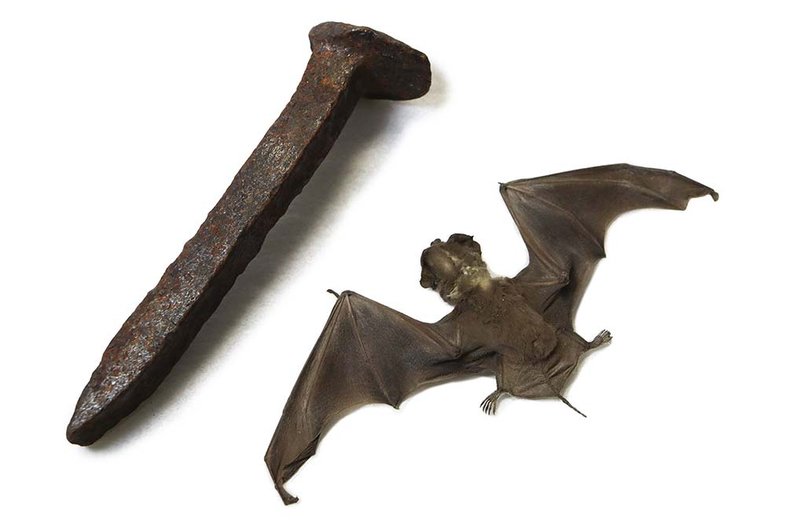 A railroad spike and bat specimen