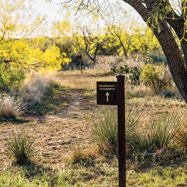 roadrunner-trail