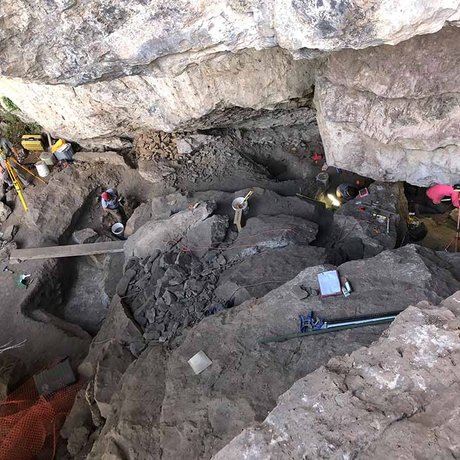 rock-shelter