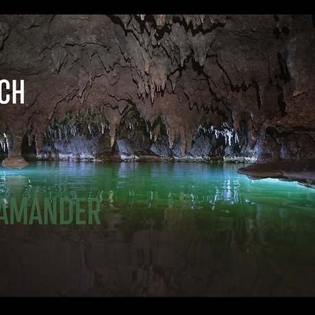 Honey Creek Cave cave filled with water