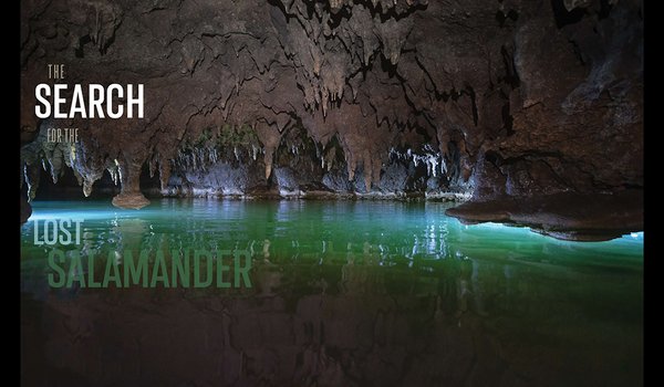 Honey Creek Cave cave filled with water