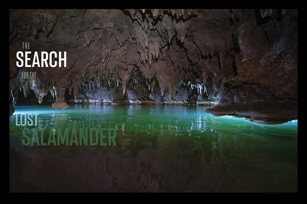 Honey Creek Cave cave filled with water