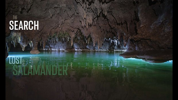 Honey Creek Cave cave filled with water