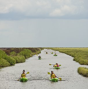 Sea Rim State Park Kayakers on a paddle trail