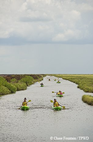 Sea Rim State Park Kayakers on a paddle trail
