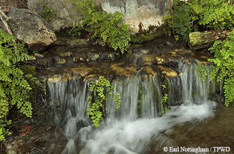 small waterfall on the Devil's River