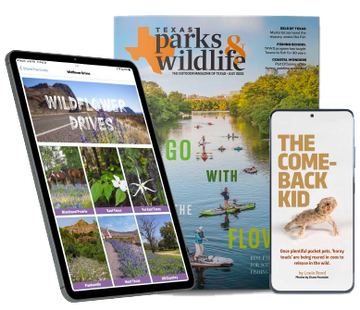 Tablet and phone magazine app in front of a print issue.