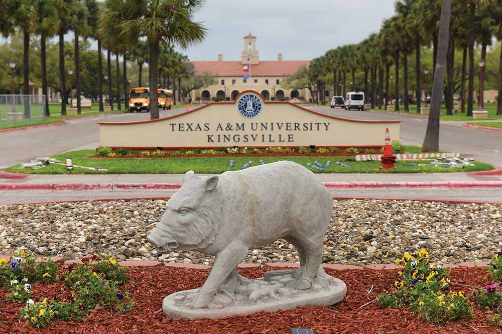 Texas A&M Kingsville entrance sign
