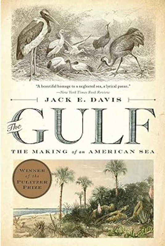 Book cover of The Gulf: The Making of an American Sea by Jack E. Davis