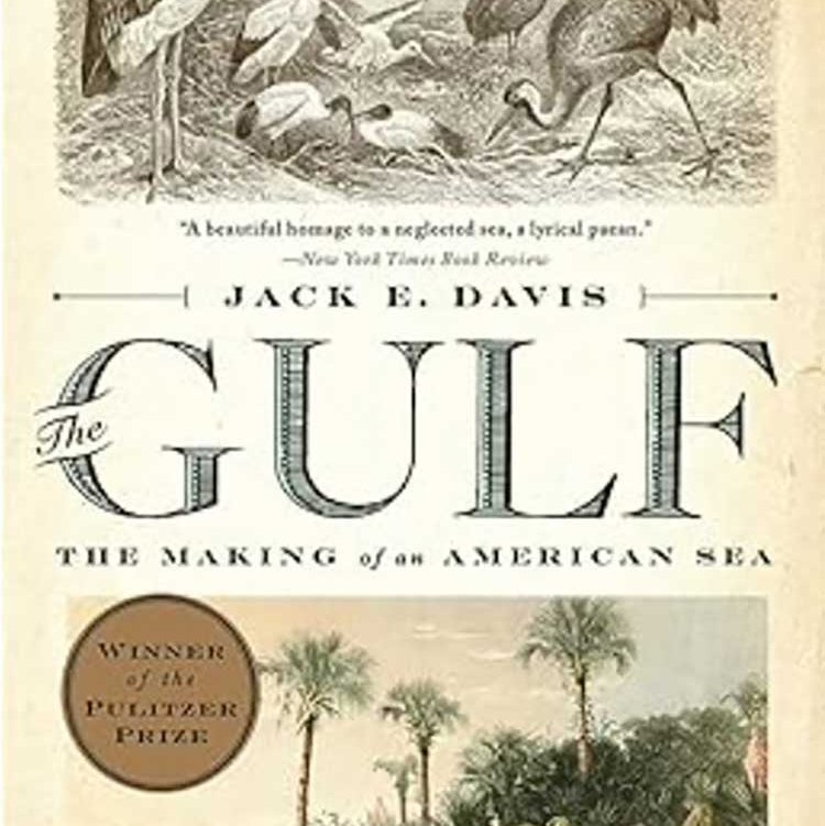 Book cover of The Gulf: The Making of an American Sea by Jack E. Davis