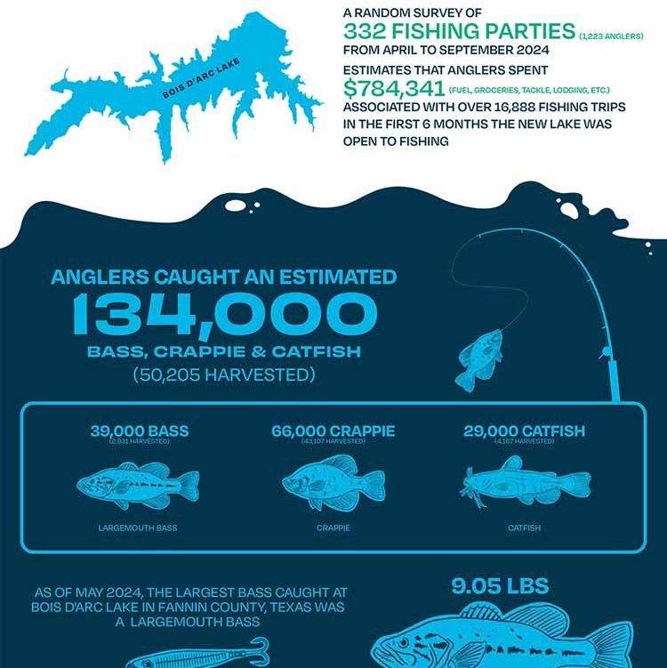 tpw-dish-infographic-6-month