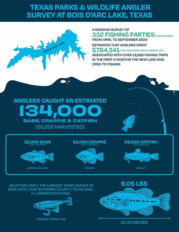 tpw-dish-infographic-6-month