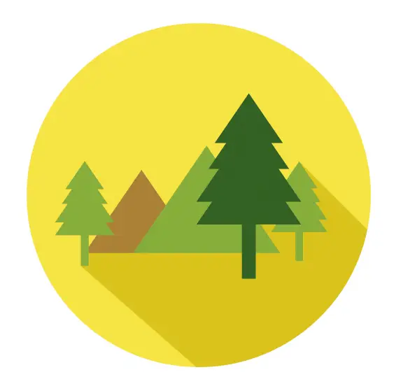 trees in a yellow circle illustration