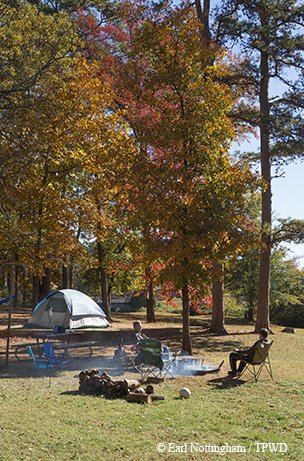 Red and yellow leafed trees with people enjoying the campsite.