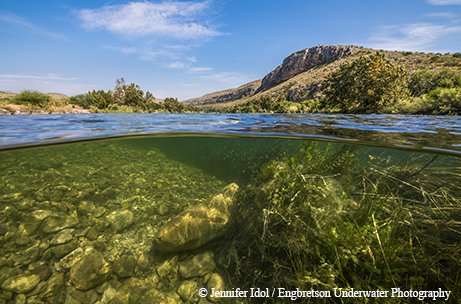 under water scene at the Devil's River