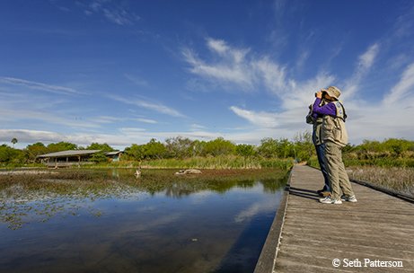 wetlands board walk
