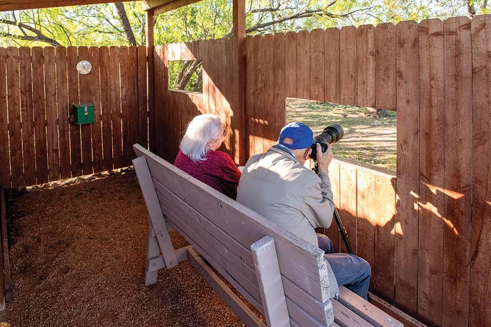 wildlife-viewing