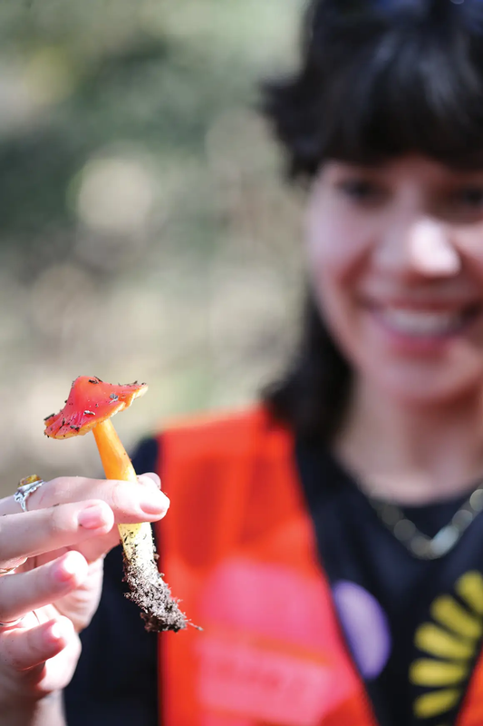 woman holding long reddish yellow stemmed mushroom with red cap