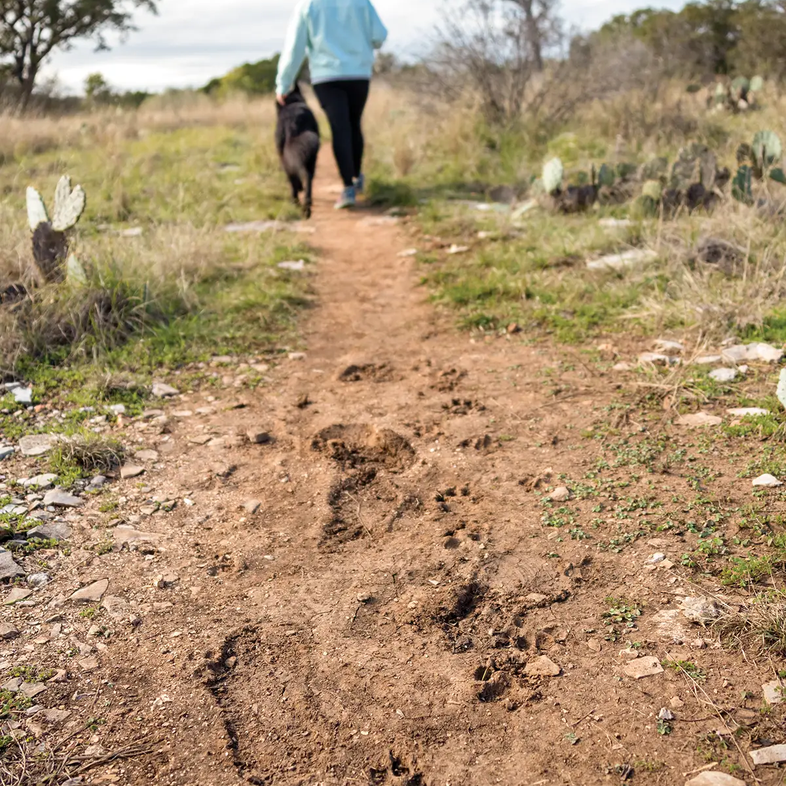 woman walking with dog wtih their foot prints in the dirt
