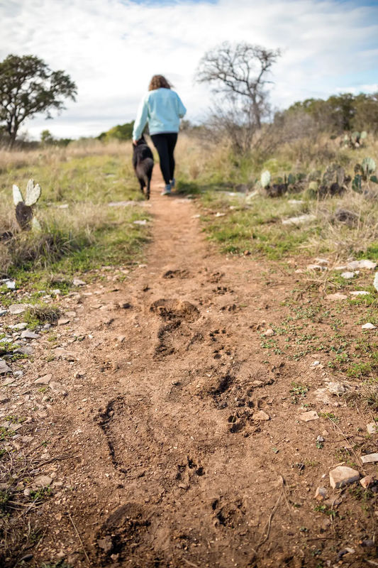 woman walking with dog wtih their foot prints in the dirt
