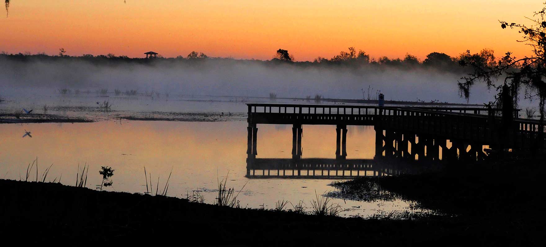 Brazos Bend sunrise